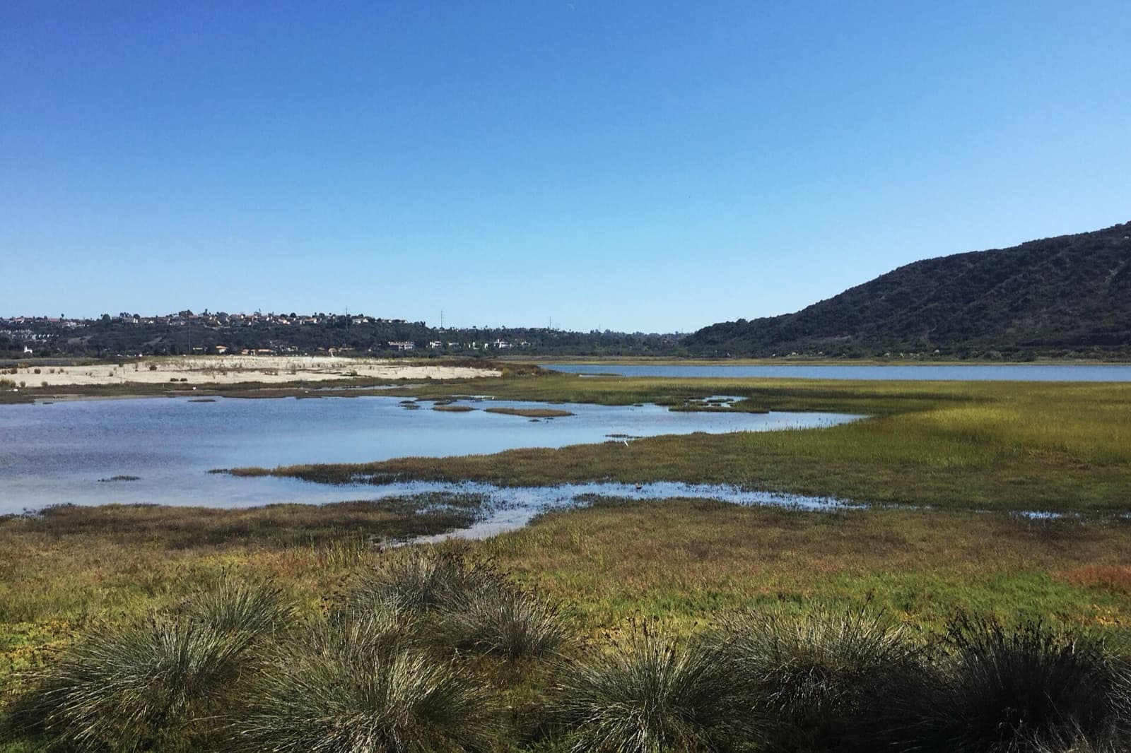 Salt marsh and shallow lagoon water at Batiquitos Lagoon with wooded hills beneath a clear blue sky.