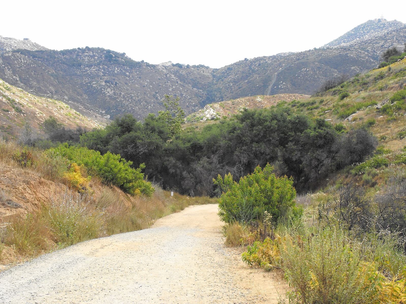 A dirt trail leading into a chaparral canyon with hills beyond at Blue Sky Ecological Reserve.